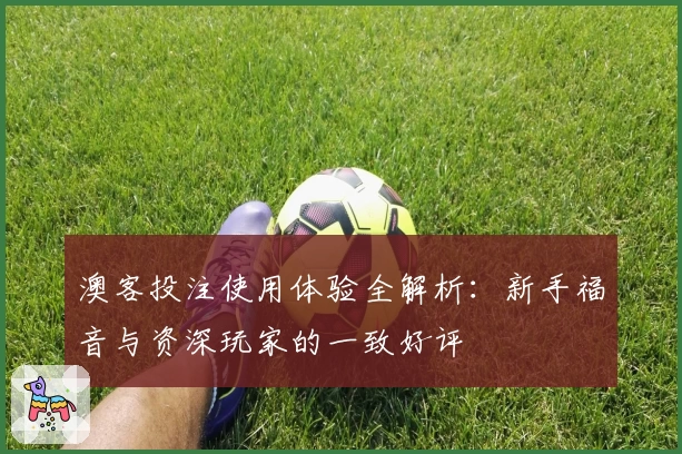 澳客投注使用体验全解析:新手福音与资深玩家的一致好评